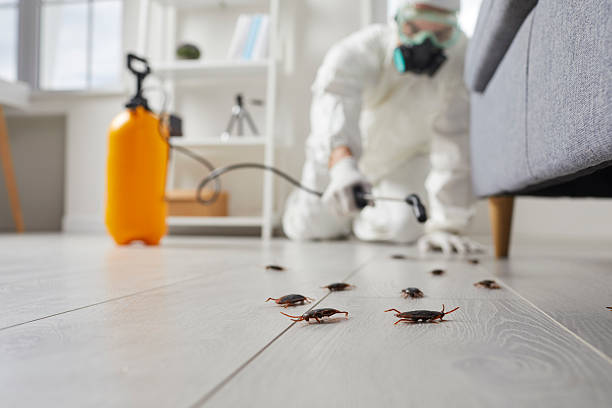 Trusted Cockroach Control service in Moreland Hills, OH - Nex Pest Control